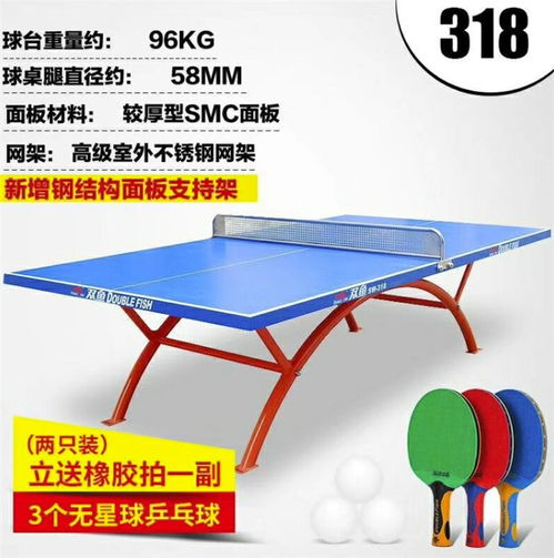 學校用乒乓球桌批發(fā)商 廣州乒乓球桌 強利體育器材品質(zhì)保證