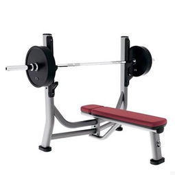 美國力健lifefitness sofb奧林匹克水平推舉椅 專業力量訓練器材圖片,美國力健lifefitness sofb奧林匹克水平推舉椅 專業力量訓練器材高清圖片 上?？刀〗∩砥鞑某Ｖ莘止? class=